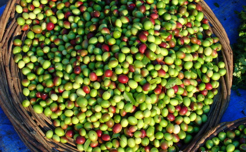 Karonda at Sabzi Bazar, Loi Bazar, Vrindavan, Uttar Pradesh, India