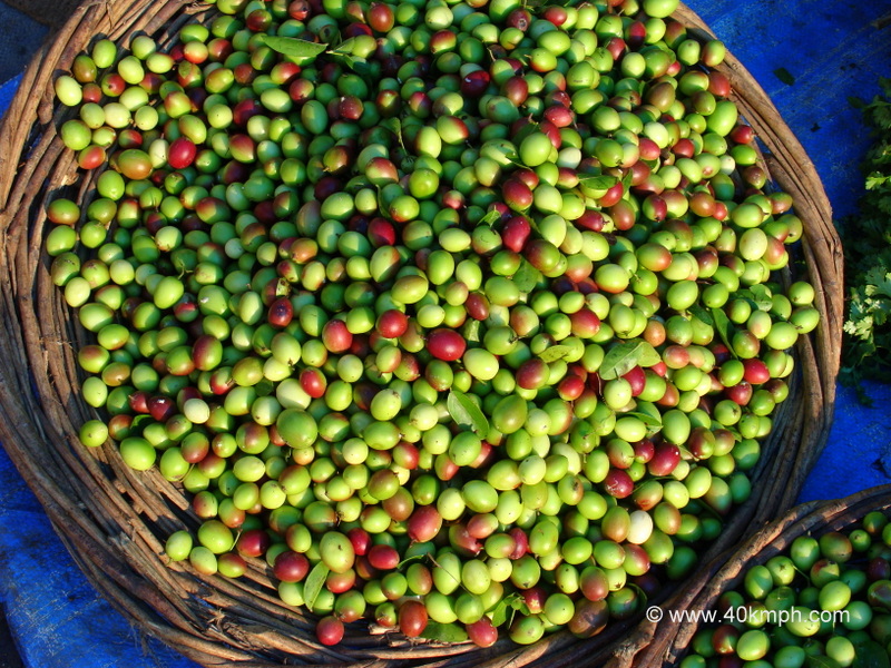Karonda at Sabzi Bazar, Loi Bazar, Vrindavan, Uttar Pradesh, India