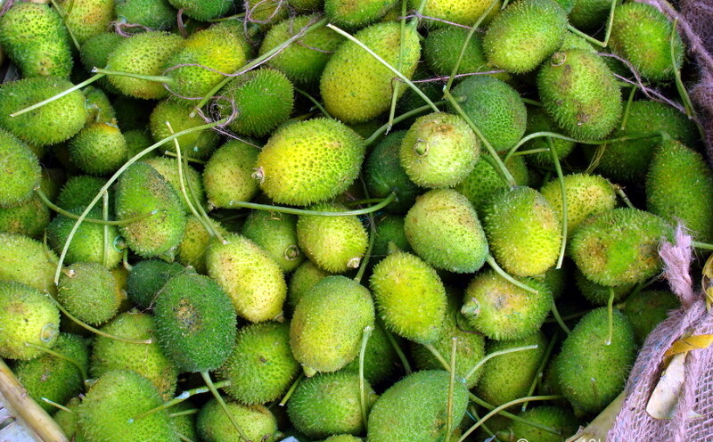 Teasel Gourd at Sabzi Bazar, Loi Bazar, Vrindavan, Uttar Pradesh, India