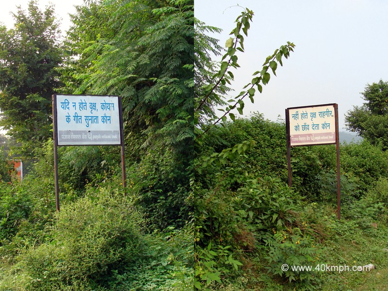 Quotes in Hindi on Trees at Dandi village, Dehradun Rishikesh road, Uttarakhand, India