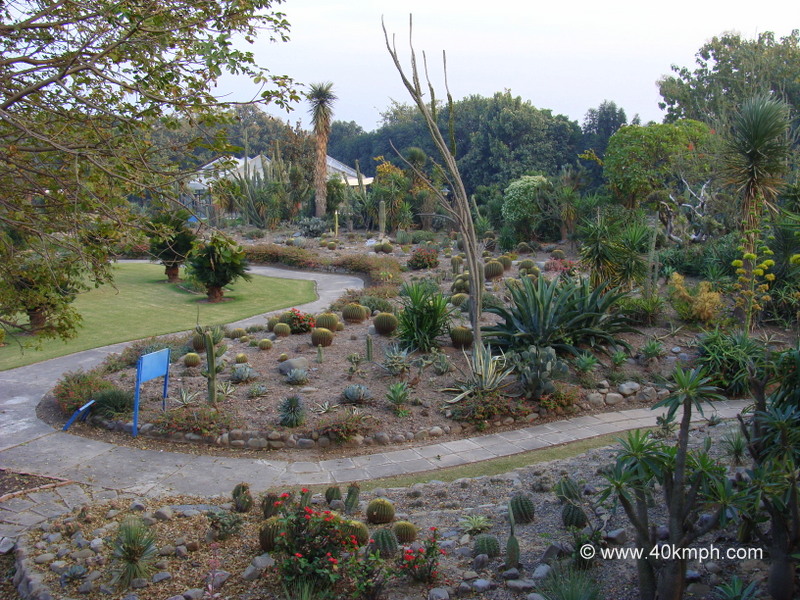 View: Cactus Garden (Panchkula, Haryana)