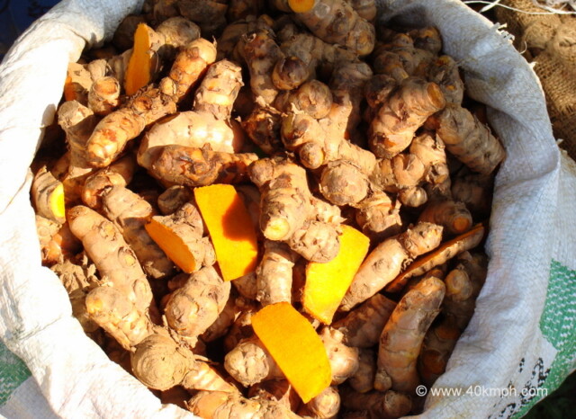 Kachchi Haldi at Sabzi Mandi, Sector-26, Chandigarh