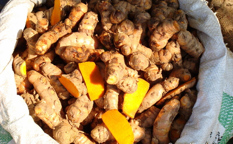Kachchi Haldi at Sabzi Mandi, Sector-26, Chandigarh