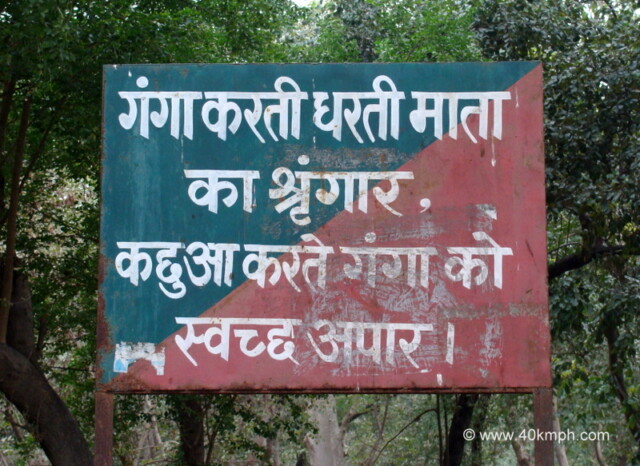 Ecological Importance of Tortoise