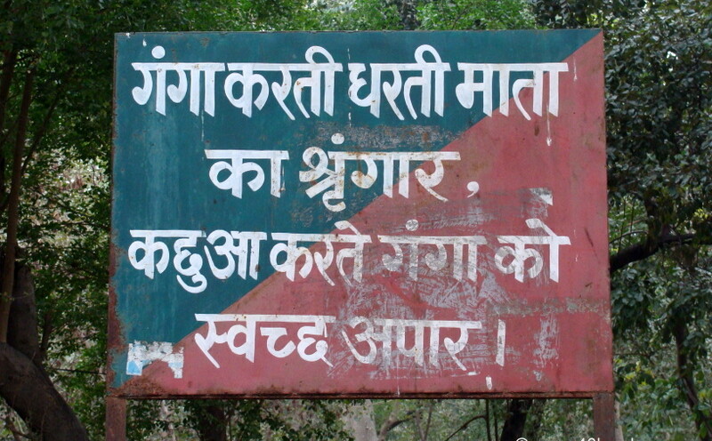 Ecological Importance of Tortoise