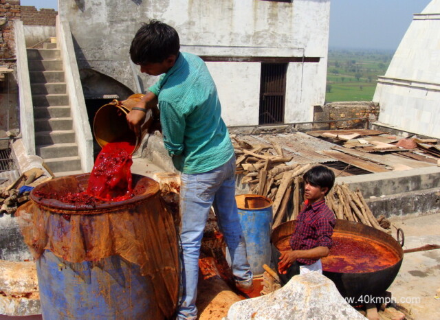 Making Natural Colours for Holi at Barsana, Uttar Pradesh, India