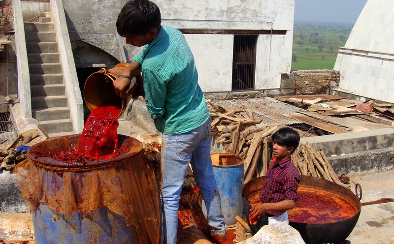 Making Natural Colours for Holi at Barsana, Uttar Pradesh, India