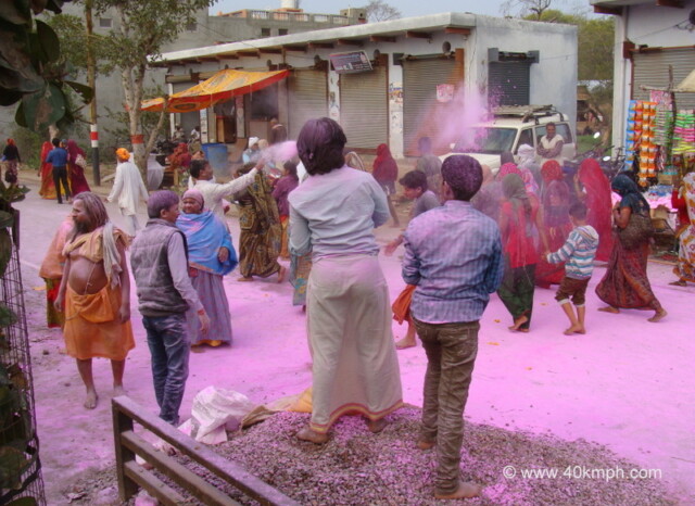 Celebrating Holi with Dry Colors at Parikrama Marg, Vrindavan, Uttar Pradesh, India