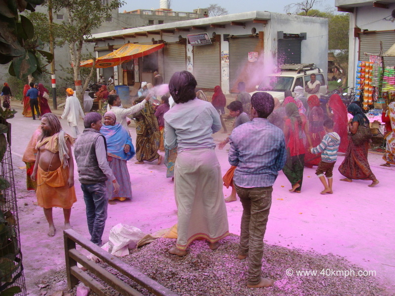 Celebrating Holi with Dry Colors at Parikrama Marg, Vrindavan, Uttar Pradesh, India