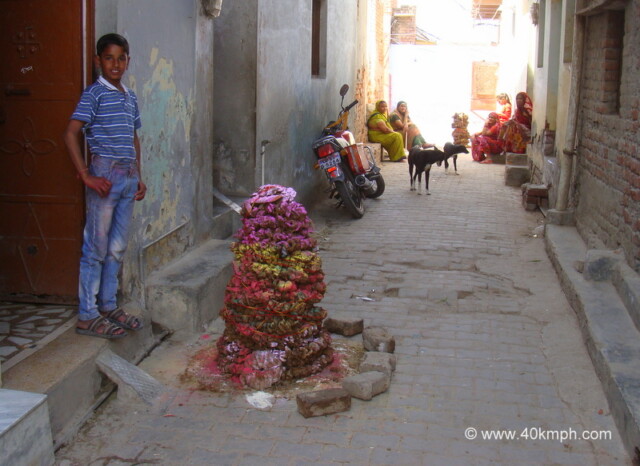 Cow Dung Cakes for Holi Bonfire at Vrindavan, Uttar Pradesh, India