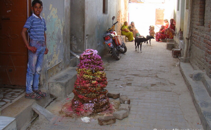 Cow Dung Cakes for Holi Bonfire at Vrindavan, Uttar Pradesh, India