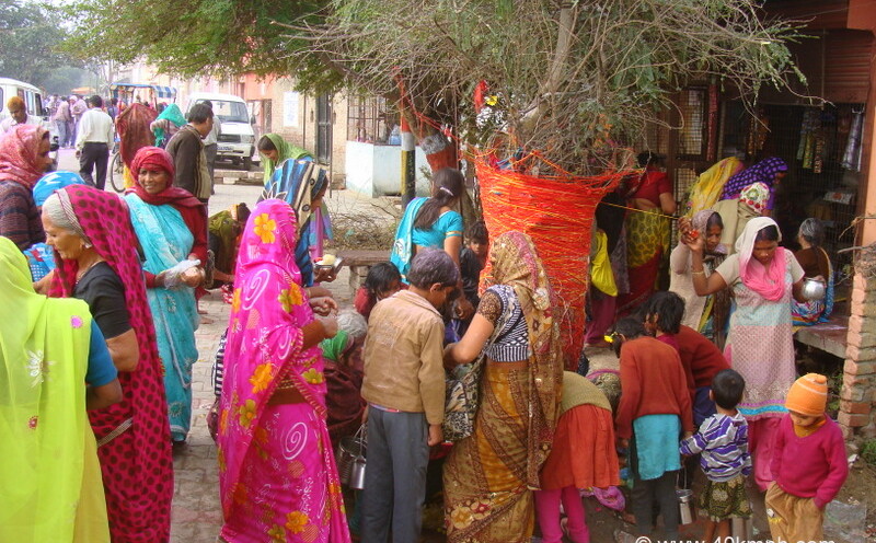 Devotees Worshipping Amla Tree on the Occasion of Amalaki Ekadashi at Vrindavan, Uttar Pradesh, India