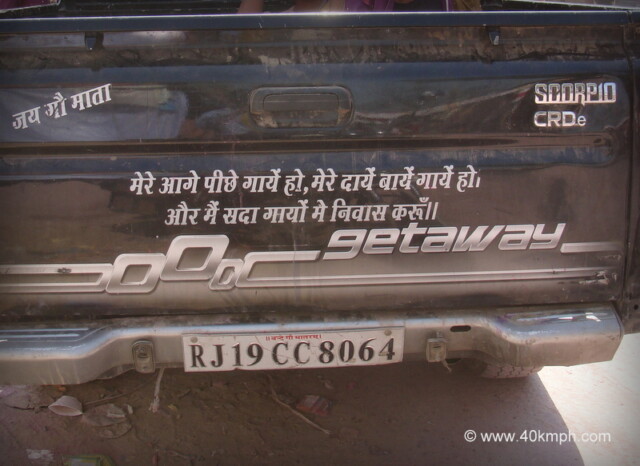 Quote Behind Pick-up Truck About Loving Cows at Vrindavan, Uttar Pradesh, India