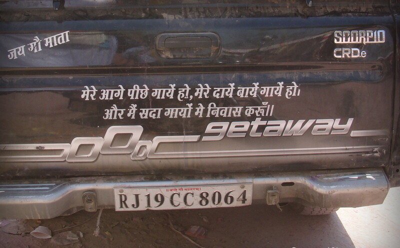 Quote Behind Pick-up Truck About Loving Cows at Vrindavan, Uttar Pradesh, India