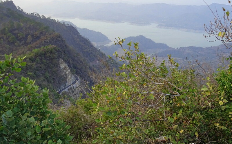 View of Gobind Sagar Lake from Naina Devi Temple, Bilaspur, Himachal Pradesh, India