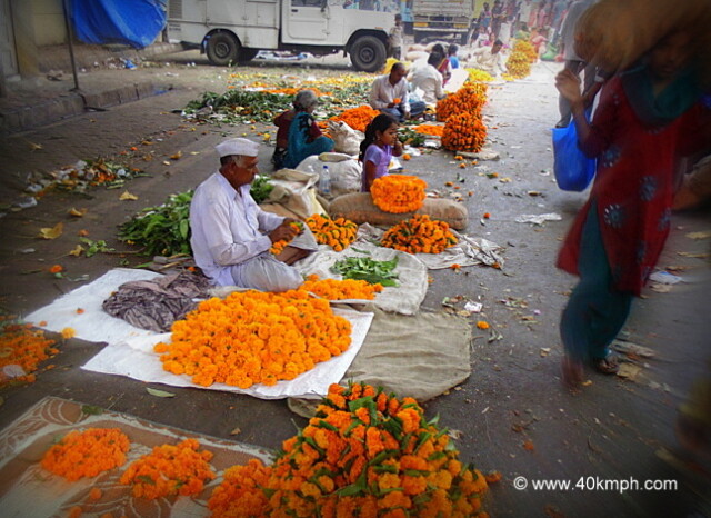 Marigold Flowers for Sale nearby Dadar Wholesale Flower Market, Mumbai, Maharashtra, India