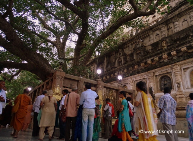 Bodhi Pallanka (The Place of Enlightement), Mahabodhi Temple, Bodhgaya, Bihar, India