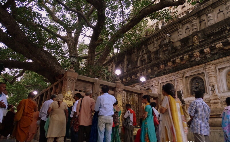Bodhi Pallanka (The Place of Enlightement), Mahabodhi Temple, Bodhgaya, Bihar, India