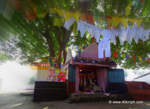 Sujata Mandir, Bakraur Village nearby Bodhgaya, Bihar, India