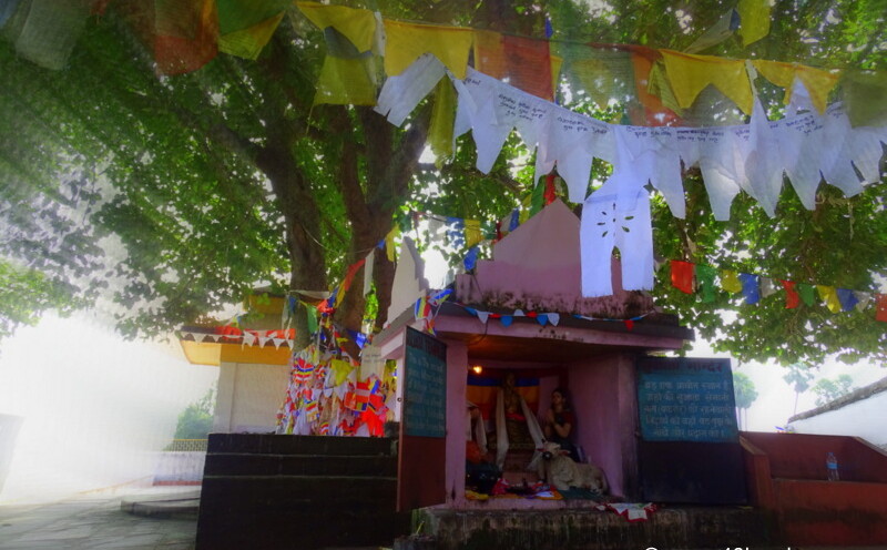 Sujata Mandir, Bakraur Village nearby Bodhgaya, Bihar, India