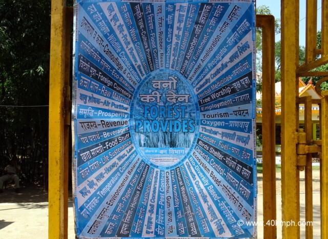 Benefits of Forests to Society