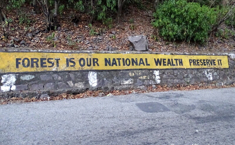 Quote on Save Forest near Kaudiyala in Uttarakhand, India