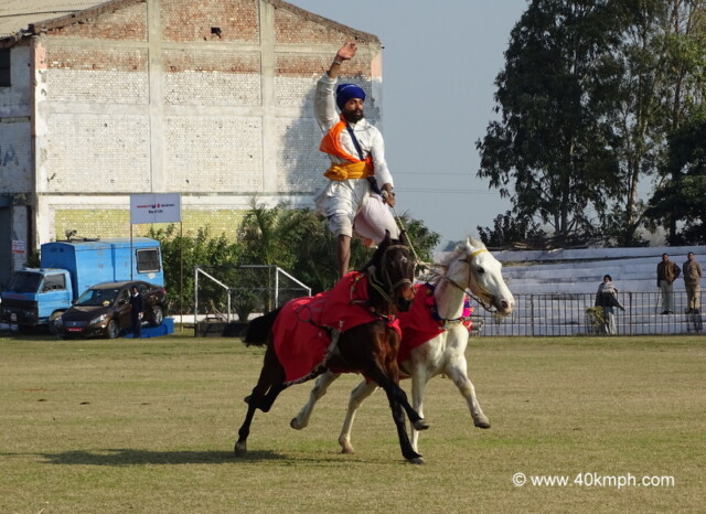 A Nihang Riding Two Horses Together at Kila Raipur Sports Festival 2015 in Punjab, India