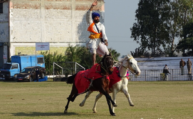 A Nihang Riding Two Horses Together at Kila Raipur Sports Festival 2015 in Punjab, India