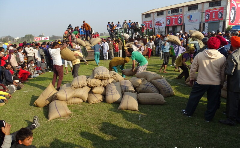 Loading, Offloading Trolley of Paddy at 79th Kila Raipur Sports Festival, Punjab, India