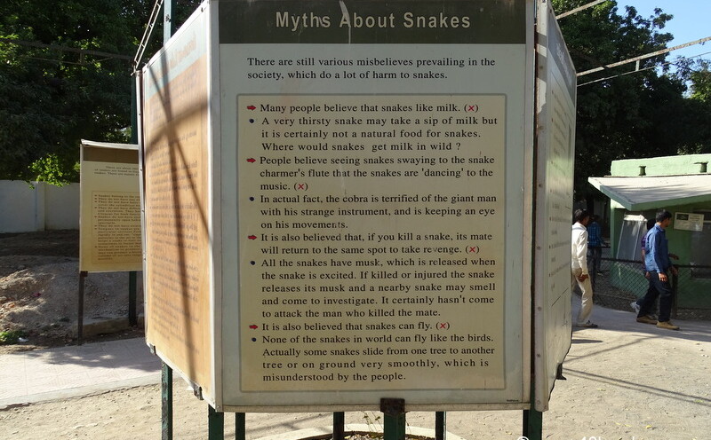 Myths About Snakes