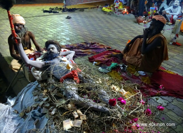 Naga Baba Lying on Thorny Branches at Bhavnath Fair 2015 in Junagadh, Gujarat, India