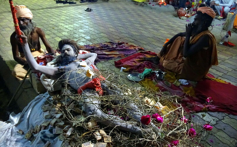 Naga Baba Lying on Thorny Branches at Bhavnath Fair 2015 in Junagadh, Gujarat, India