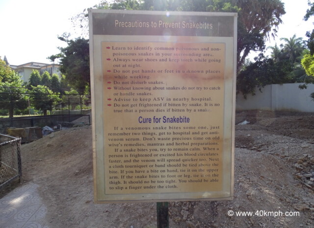 Precautions to Prevent Snakebites and Cure