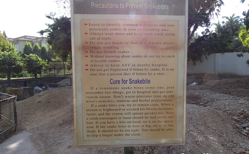 Precautions to Prevent Snakebites and Cure