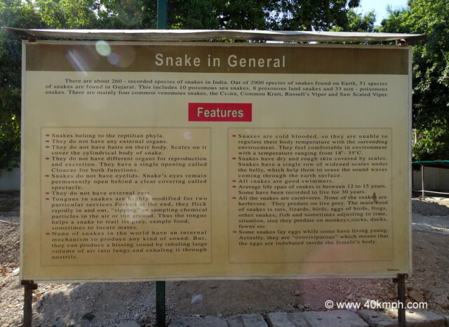Snake in General and its Features