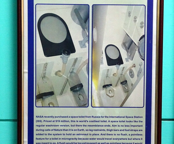 Most Expensive Toilet in The World