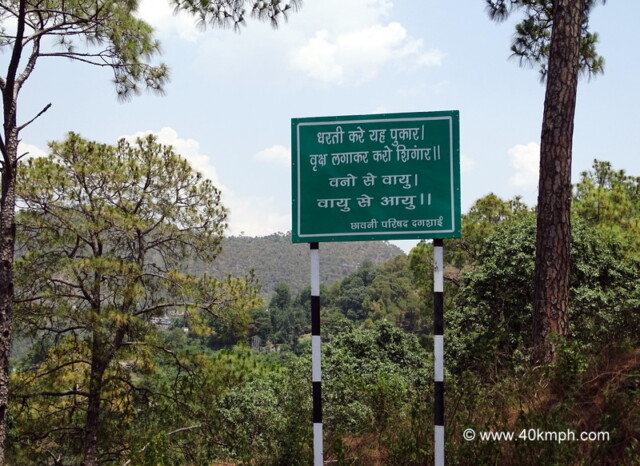 Plant Trees to Beautify Earth