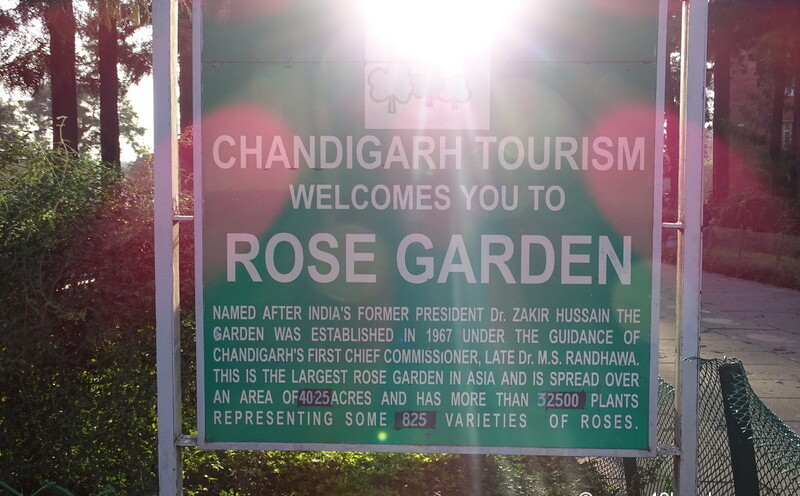 About: Chandigarh Rose Garden