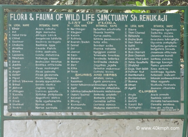Flora & Fauna of Wild Life Sanctuary Sh. Renukaji, Himachal Pradesh, India