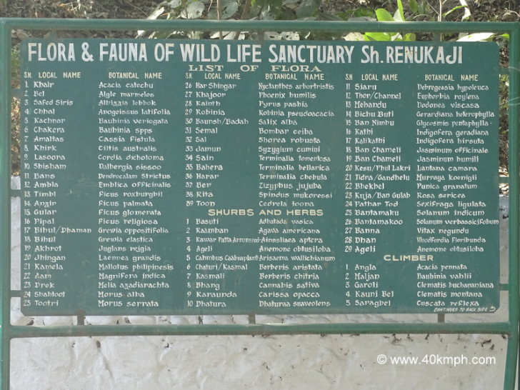 Flora & Fauna of Wild Life Sanctuary Sh. Renukaji, Himachal Pradesh, India