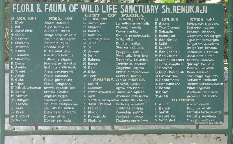 Flora & Fauna of Wild Life Sanctuary Sh. Renukaji, Himachal Pradesh, India