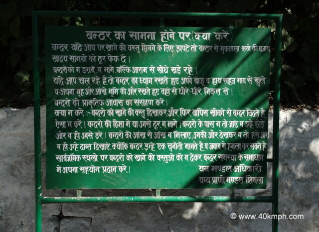 How to Deal with Monkeys