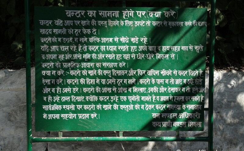 How to Deal with Monkeys