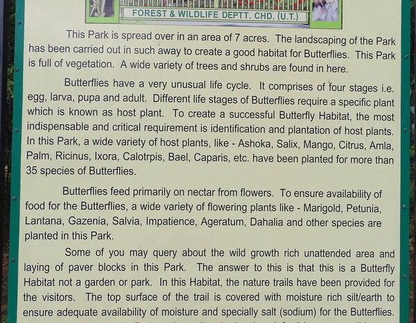 About: Butterfly Park in Chandigarh, India