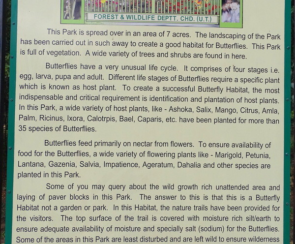 About: Butterfly Park in Chandigarh, India