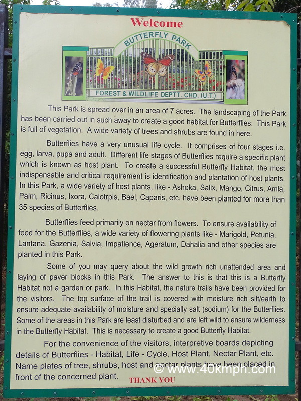 About Butterfly Park in Chandigarh