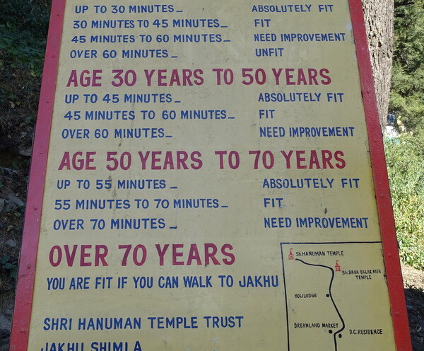 Test Your Physical Fitness Walk to Jakhu Temple in Shimla, Himachal Pradesh, India