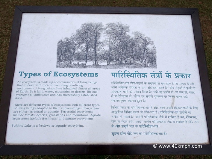 Types of Ecosystems (Chandigarh, India)