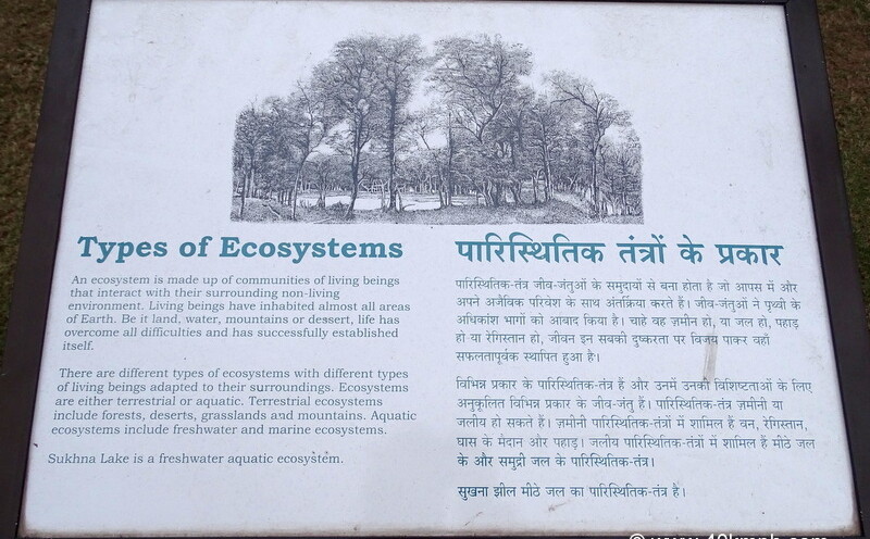Types of Ecosystems (Chandigarh, India)