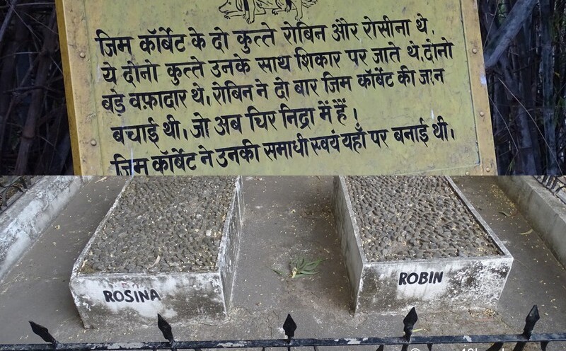 Grave of Jim Corbett's Dogs in Kaladhungi, Uttarakhand, India